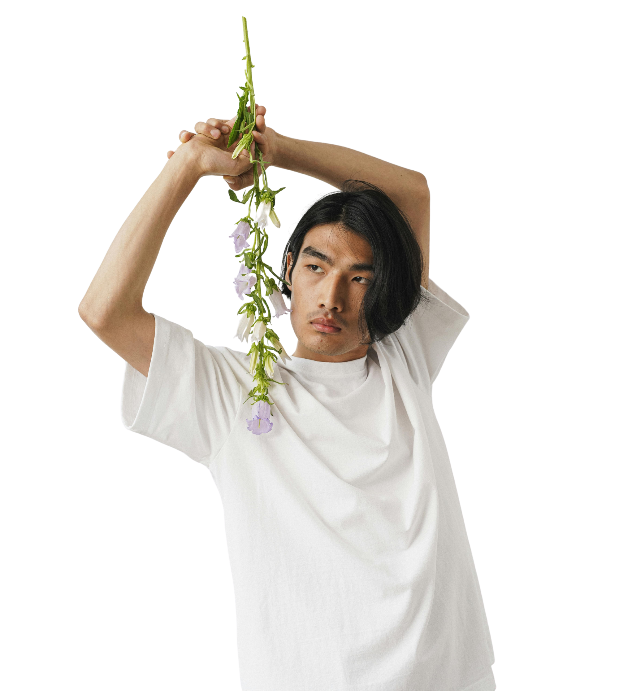 Pinot Noir Ultra Heavy T Shirt